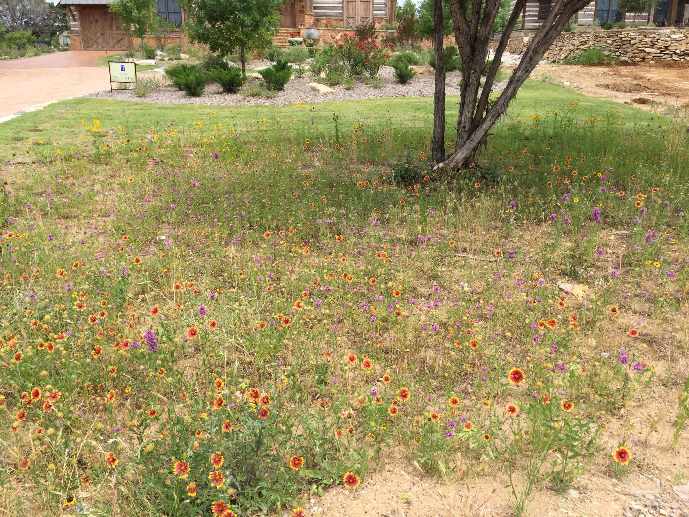 Texas Planting Design Services